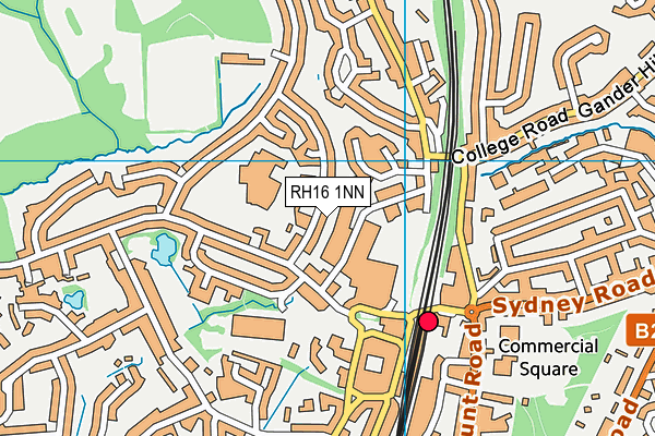 RH16 1NN map - OS VectorMap District (Ordnance Survey) RH16 1NN map - OS VectorMap District (Ordnance Survey)