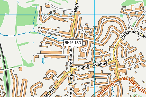 RH16 1SD map - OS VectorMap District (Ordnance Survey) RH16 1SD map - OS VectorMap District (Ordnance Survey)