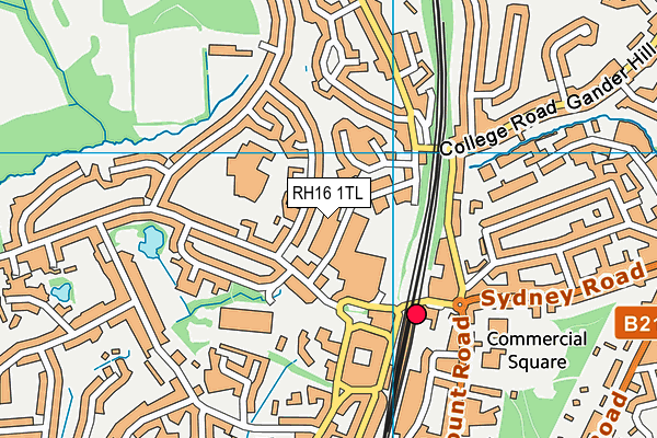 RH16 1TL map - OS VectorMap District (Ordnance Survey) RH16 1TL map - OS VectorMap District (Ordnance Survey)