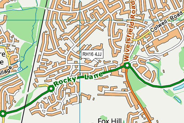 RH16 4JJ map - OS VectorMap District (Ordnance Survey)
