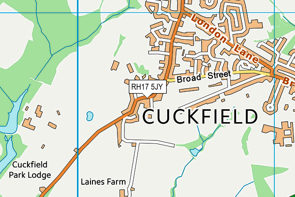 RH17 5JY map - OS VectorMap District (Ordnance Survey)