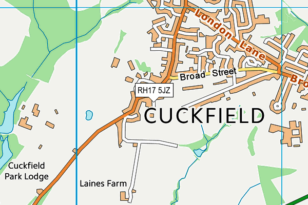 RH17 5JZ map - OS VectorMap District (Ordnance Survey)