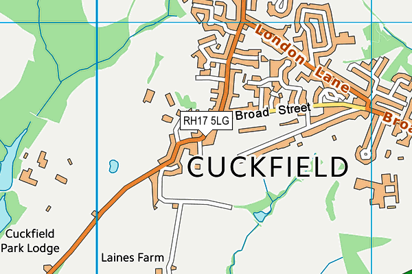 RH17 5LG map - OS VectorMap District (Ordnance Survey) RH17 5LG map - OS VectorMap District (Ordnance Survey)