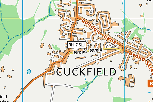RH17 5LJ map - OS VectorMap District (Ordnance Survey) RH17 5LJ map - OS VectorMap District (Ordnance Survey)