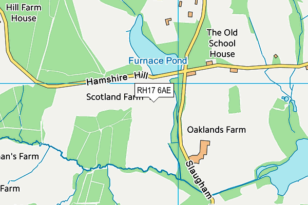 RH17 6AE map - OS VectorMap District (Ordnance Survey) RH17 6AE map - OS VectorMap District (Ordnance Survey)