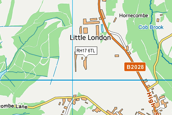 RH17 6TL map - OS VectorMap District (Ordnance Survey) RH17 6TL map - OS VectorMap District (Ordnance Survey)