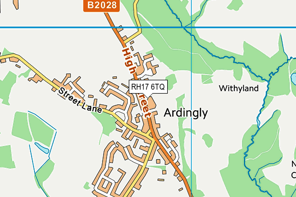 RH17 6TQ map - OS VectorMap District (Ordnance Survey)