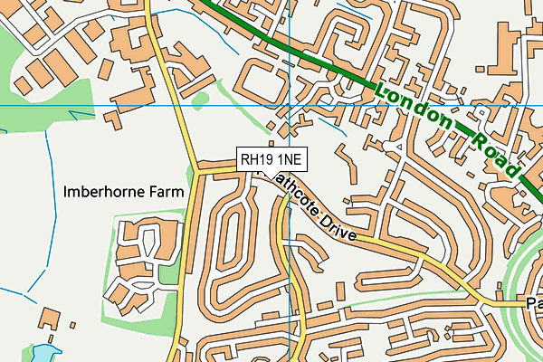 RH19 1NE map - OS VectorMap District (Ordnance Survey) RH19 1NE map - OS VectorMap District (Ordnance Survey)
