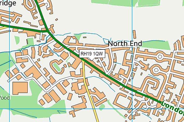 RH19 1QW map - OS VectorMap District (Ordnance Survey) RH19 1QW map - OS VectorMap District (Ordnance Survey)