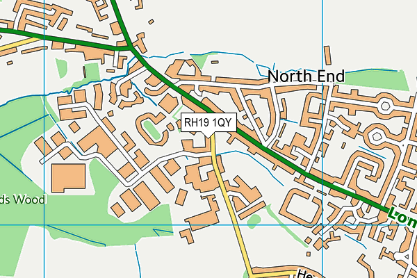 RH19 1QY map - OS VectorMap District (Ordnance Survey) RH19 1QY map - OS VectorMap District (Ordnance Survey)