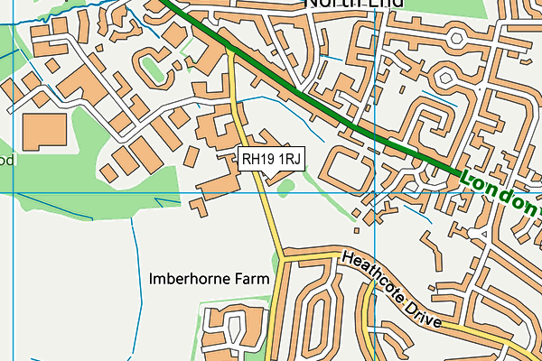RH19 1RJ map - OS VectorMap District (Ordnance Survey) RH19 1RJ map - OS VectorMap District (Ordnance Survey)