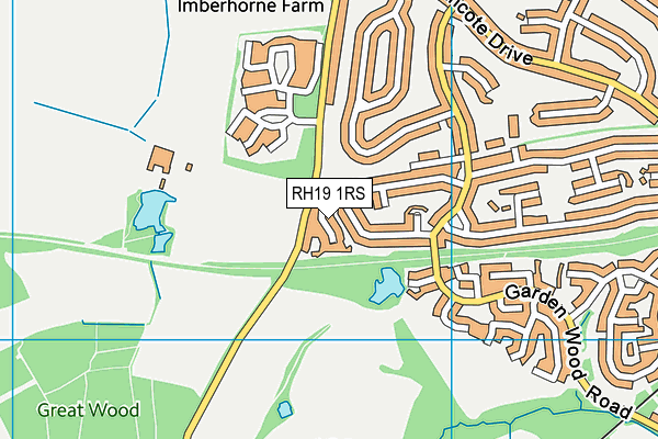 RH19 1RS map - OS VectorMap District (Ordnance Survey) RH19 1RS map - OS VectorMap District (Ordnance Survey)