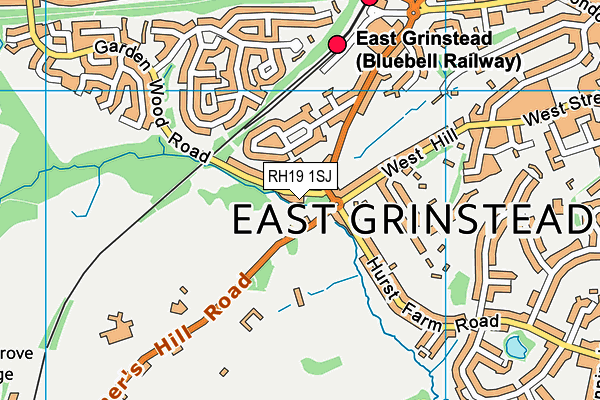 RH19 1SJ map - OS VectorMap District (Ordnance Survey) RH19 1SJ map - OS VectorMap District (Ordnance Survey)