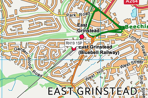 RH19 1SP map - OS VectorMap District (Ordnance Survey) RH19 1SP map - OS VectorMap District (Ordnance Survey)