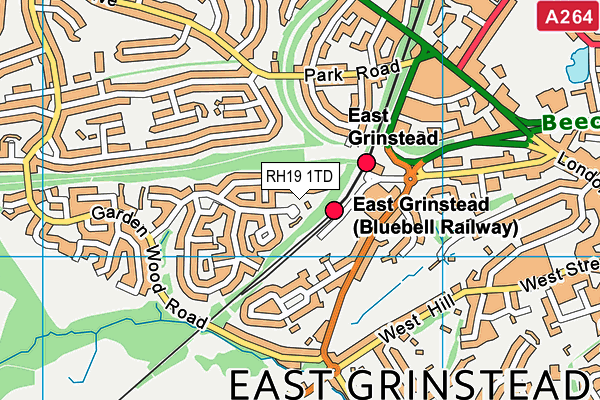 RH19 1TD map - OS VectorMap District (Ordnance Survey) RH19 1TD map - OS VectorMap District (Ordnance Survey)