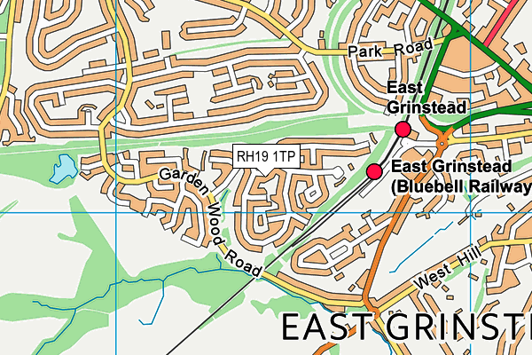 RH19 1TP map - OS VectorMap District (Ordnance Survey) RH19 1TP map - OS VectorMap District (Ordnance Survey)