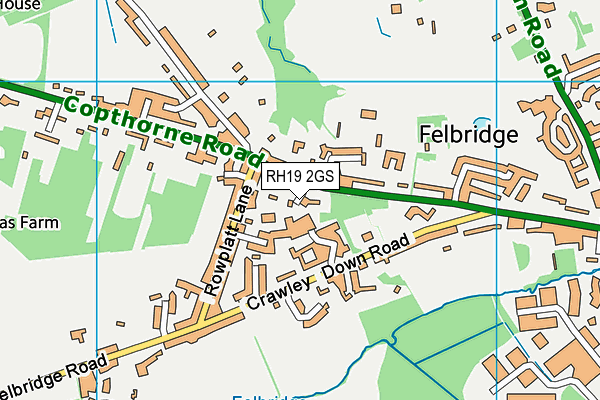 RH19 2GS map - OS VectorMap District (Ordnance Survey) RH19 2GS map - OS VectorMap District (Ordnance Survey)