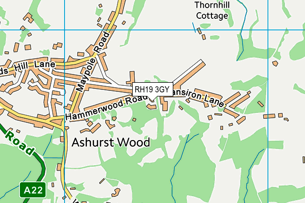 RH19 3GY map - OS VectorMap District (Ordnance Survey) RH19 3GY map - OS VectorMap District (Ordnance Survey)