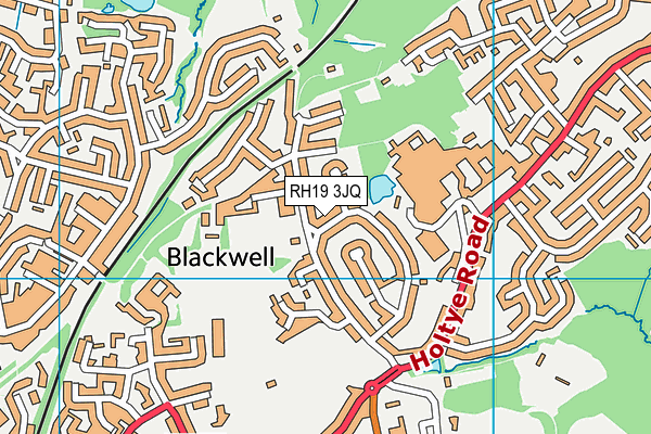 RH19 3JQ map - OS VectorMap District (Ordnance Survey) RH19 3JQ map - OS VectorMap District (Ordnance Survey)