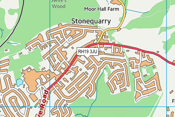 RH19 3JU map - OS VectorMap District (Ordnance Survey)