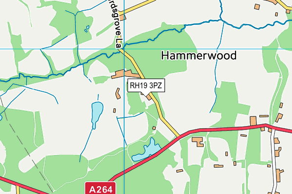 RH19 3PZ map - OS VectorMap District (Ordnance Survey) RH19 3PZ map - OS VectorMap District (Ordnance Survey)