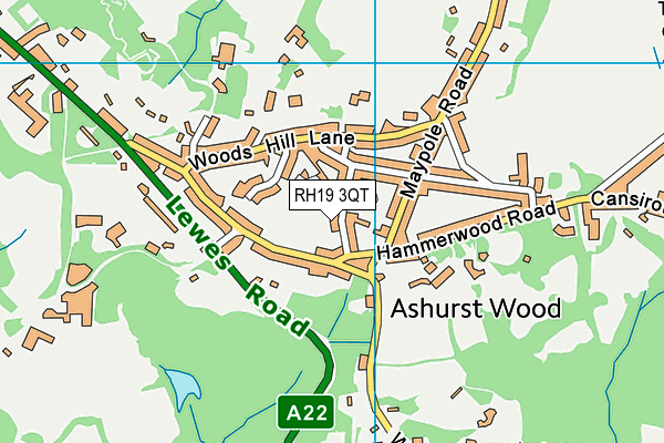 RH19 3QT map - OS VectorMap District (Ordnance Survey) RH19 3QT map - OS VectorMap District (Ordnance Survey)