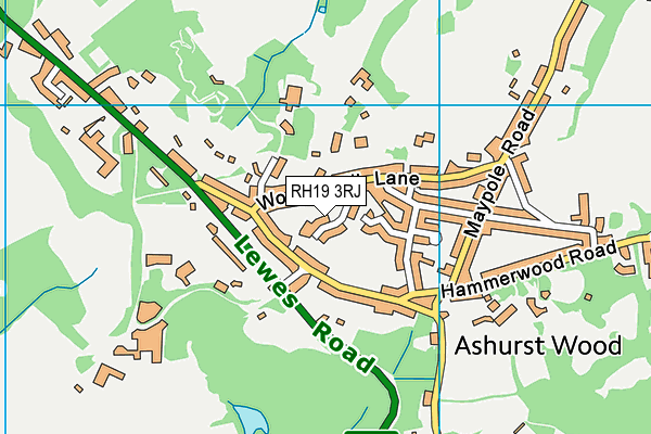 RH19 3RJ map - OS VectorMap District (Ordnance Survey) RH19 3RJ map - OS VectorMap District (Ordnance Survey)