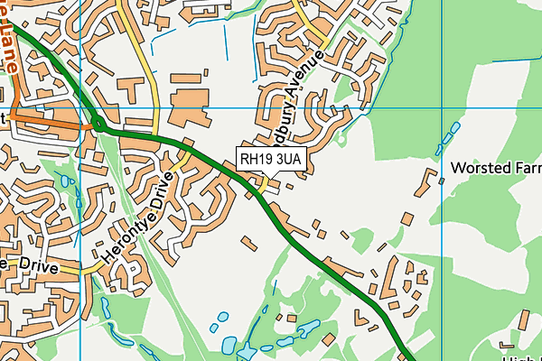 RH19 3UA map - OS VectorMap District (Ordnance Survey) RH19 3UA map - OS VectorMap District (Ordnance Survey)