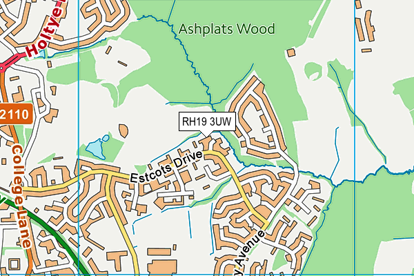 RH19 3UW map - OS VectorMap District (Ordnance Survey) RH19 3UW map - OS VectorMap District (Ordnance Survey)