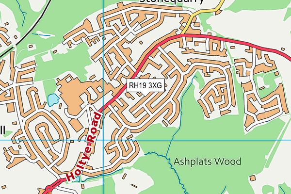RH19 3XG map - OS VectorMap District (Ordnance Survey) RH19 3XG map - OS VectorMap District (Ordnance Survey)
