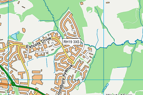 RH19 3XS map - OS VectorMap District (Ordnance Survey) RH19 3XS map - OS VectorMap District (Ordnance Survey)
