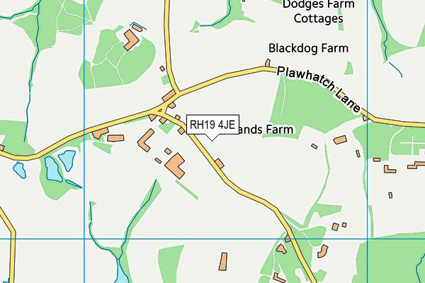 RH19 4JE map - OS VectorMap District (Ordnance Survey) RH19 4JE map - OS VectorMap District (Ordnance Survey)