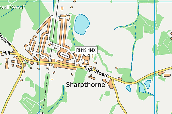 RH19 4NX map - OS VectorMap District (Ordnance Survey) RH19 4NX map - OS VectorMap District (Ordnance Survey)