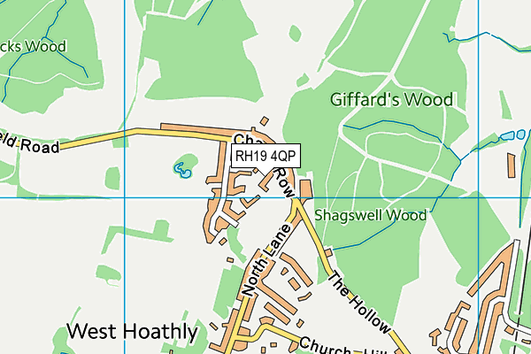 RH19 4QP map - OS VectorMap District (Ordnance Survey) RH19 4QP map - OS VectorMap District (Ordnance Survey)