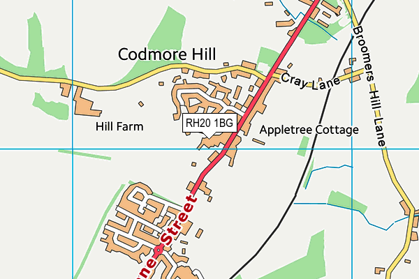 RH20 1BG map - OS VectorMap District (Ordnance Survey) RH20 1BG map - OS VectorMap District (Ordnance Survey)