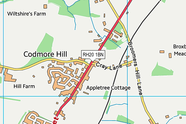 RH20 1BN map - OS VectorMap District (Ordnance Survey) RH20 1BN map - OS VectorMap District (Ordnance Survey)