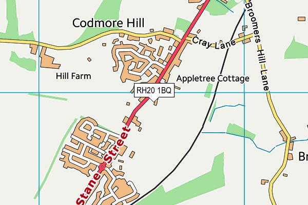 RH20 1BQ map - OS VectorMap District (Ordnance Survey) RH20 1BQ map - OS VectorMap District (Ordnance Survey)