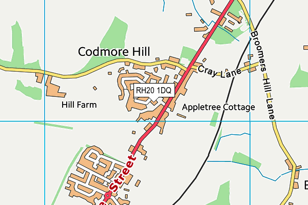 RH20 1DQ map - OS VectorMap District (Ordnance Survey) RH20 1DQ map - OS VectorMap District (Ordnance Survey)