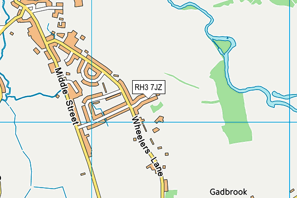 RH3 7JZ map - OS VectorMap District (Ordnance Survey) RH3 7JZ map - OS VectorMap District (Ordnance Survey)