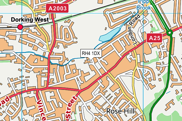 RH4 1DX map - OS VectorMap District (Ordnance Survey)