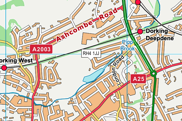 RH4 1JJ map - OS VectorMap District (Ordnance Survey)