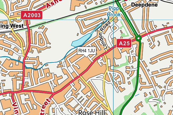 RH4 1JU map - OS VectorMap District (Ordnance Survey) RH4 1JU map - OS VectorMap District (Ordnance Survey)