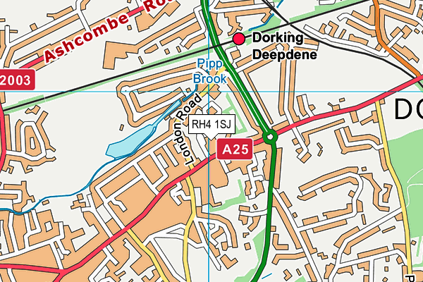 RH4 1SJ map - OS VectorMap District (Ordnance Survey)