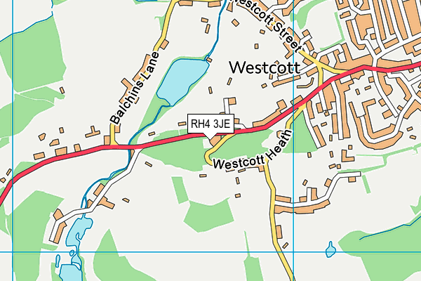 RH4 3JE map - OS VectorMap District (Ordnance Survey) RH4 3JE map - OS VectorMap District (Ordnance Survey)