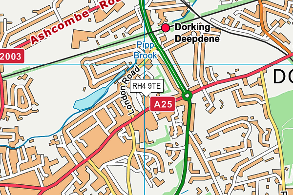 RH4 9TE map - OS VectorMap District (Ordnance Survey)