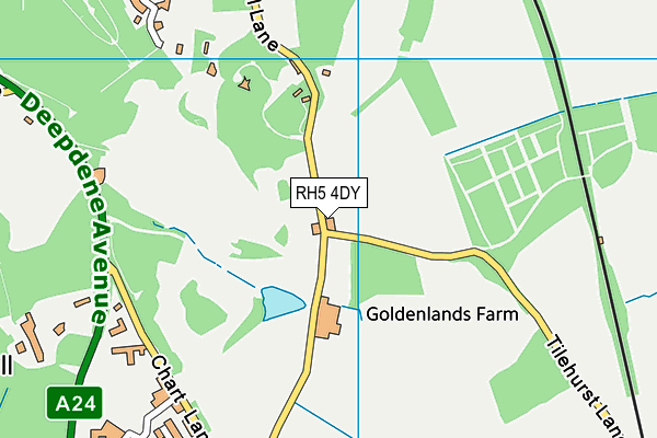 RH5 4DY map - OS VectorMap District (Ordnance Survey) RH5 4DY map - OS VectorMap District (Ordnance Survey)