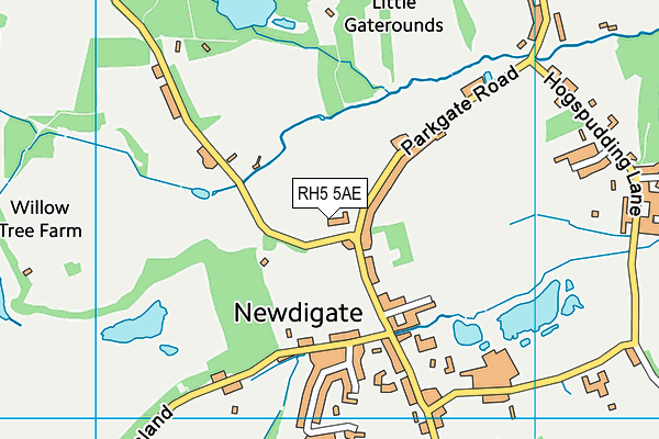 RH5 5AE map - OS VectorMap District (Ordnance Survey) RH5 5AE map - OS VectorMap District (Ordnance Survey)