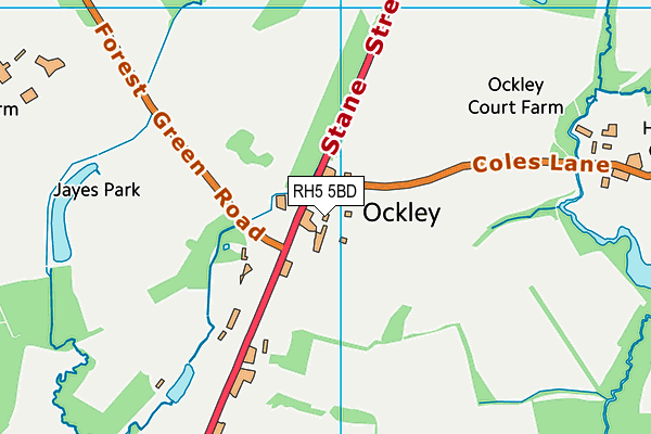RH5 5BD map - OS VectorMap District (Ordnance Survey) RH5 5BD map - OS VectorMap District (Ordnance Survey)