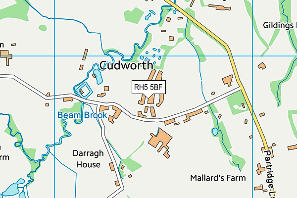 RH5 5BF map - OS VectorMap District (Ordnance Survey) RH5 5BF map - OS VectorMap District (Ordnance Survey)
