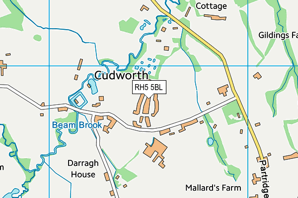 RH5 5BL map - OS VectorMap District (Ordnance Survey) RH5 5BL map - OS VectorMap District (Ordnance Survey)